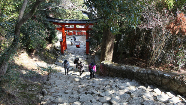 10 điều nhất định phải làm khi du học Nhật Bản: Đây là trải nghiệm đáng nhớ  về cuộc sống mới nơi đất khách quê người!